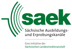 SAEK Logo