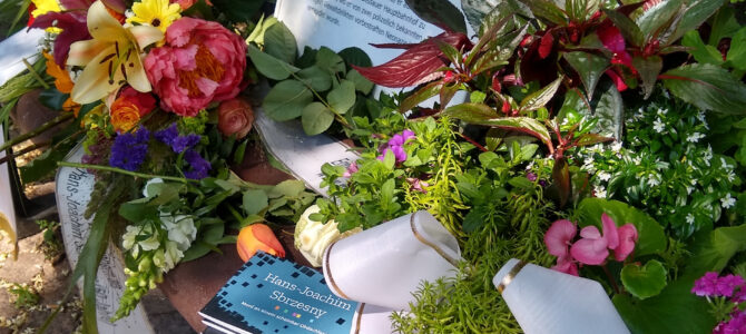 Beratungsstelle für Betroffene rechter Gewalt Anhalt/Bitterfeld/Wittenberg